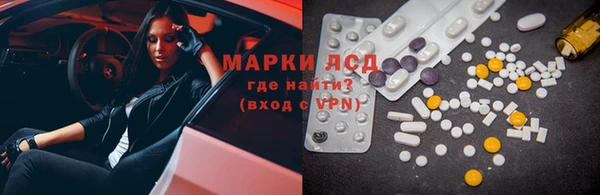 apvp Инсар