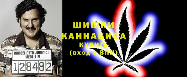 apvp Инсар