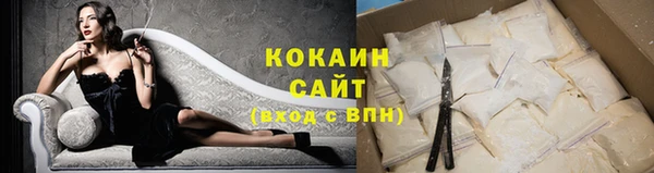 apvp Инсар