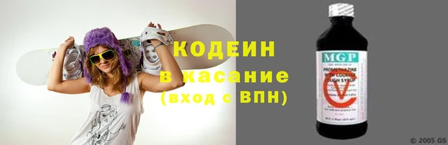 apvp Инсар