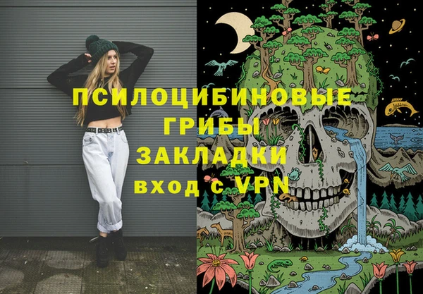 apvp Инсар