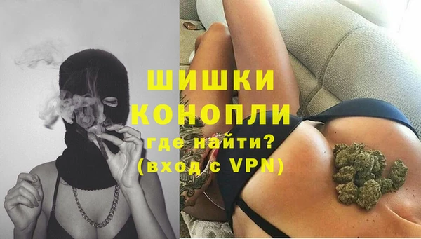 apvp Инсар