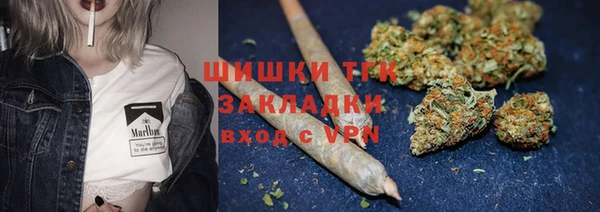 apvp Инсар