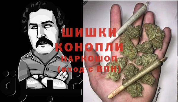 apvp Инсар