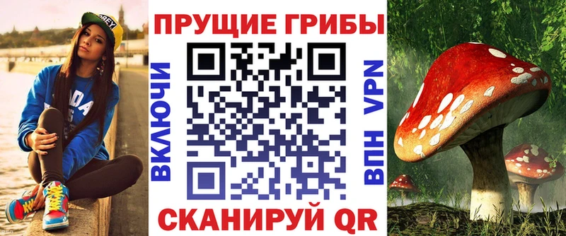 Купить  Верхоянск  Псилоцибиновые грибы мухоморы 